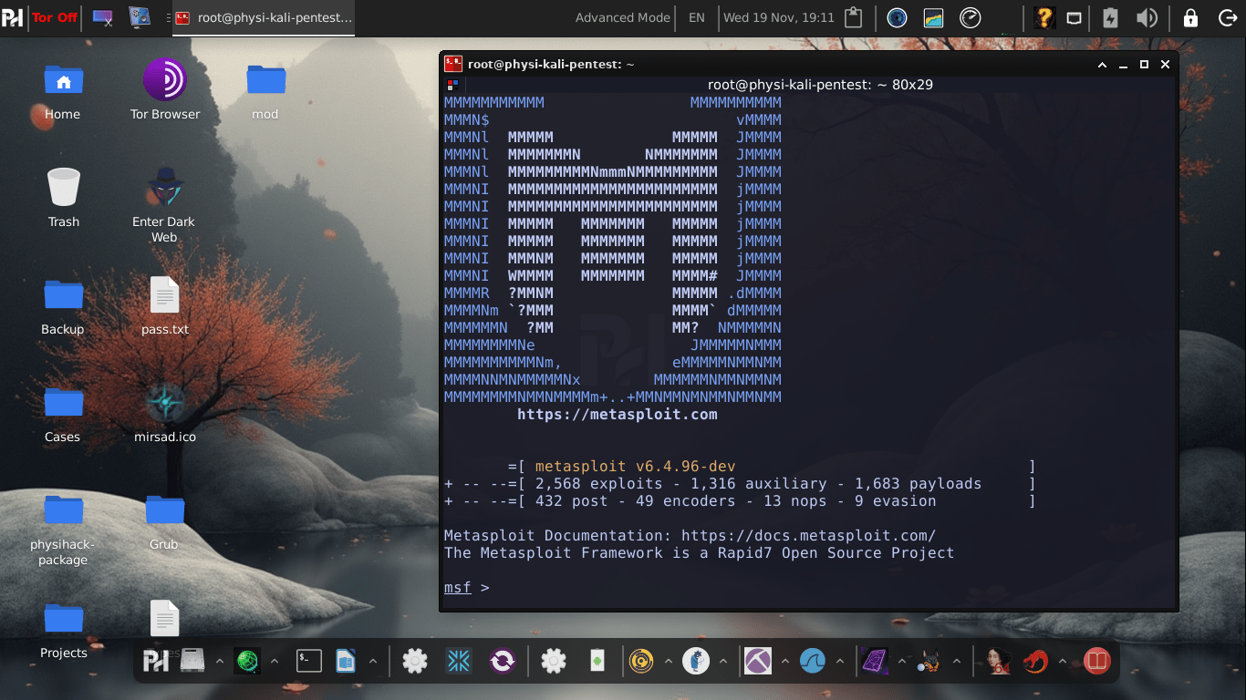 PhysiHack OS Metasploit